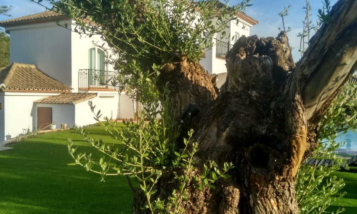 Photo of Outdoor in Arcos de la Frontera