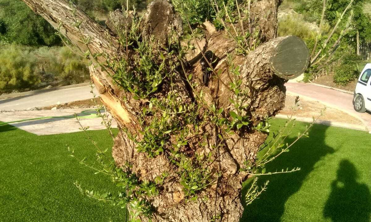 Photo of Outdoor in Arcos de la Frontera
