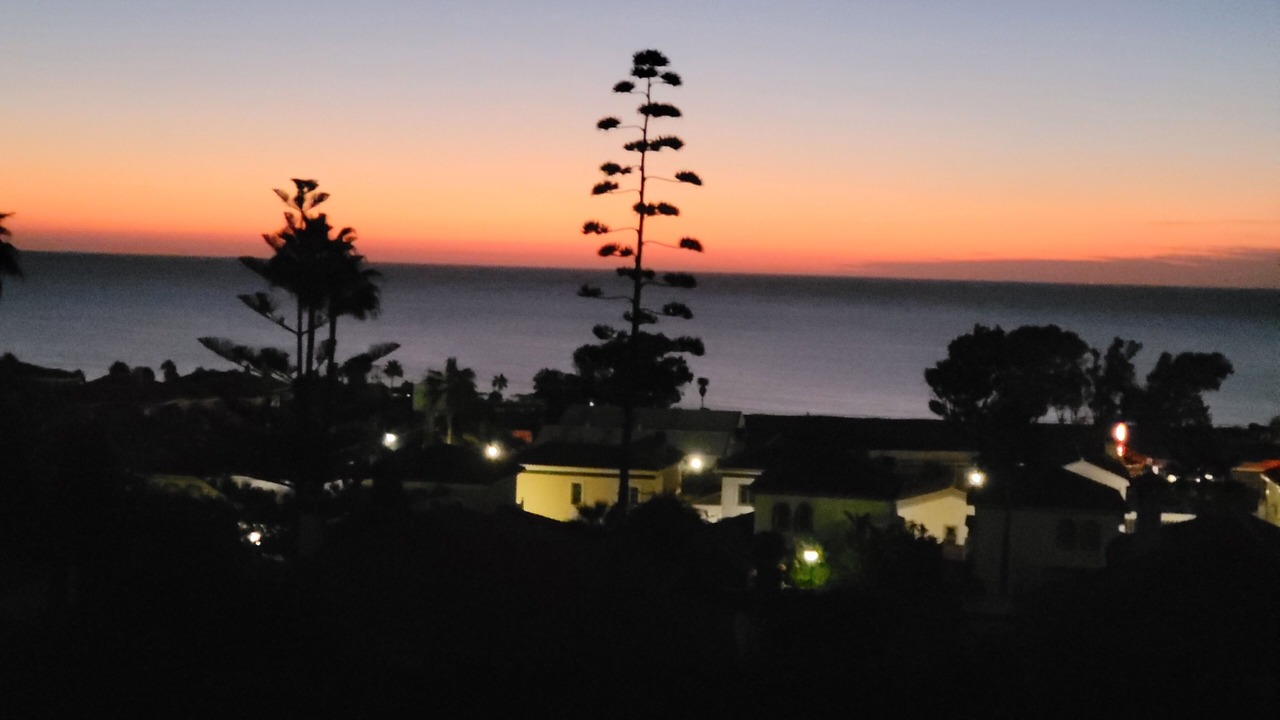 Photo of Others in Puerto de la Duquesa