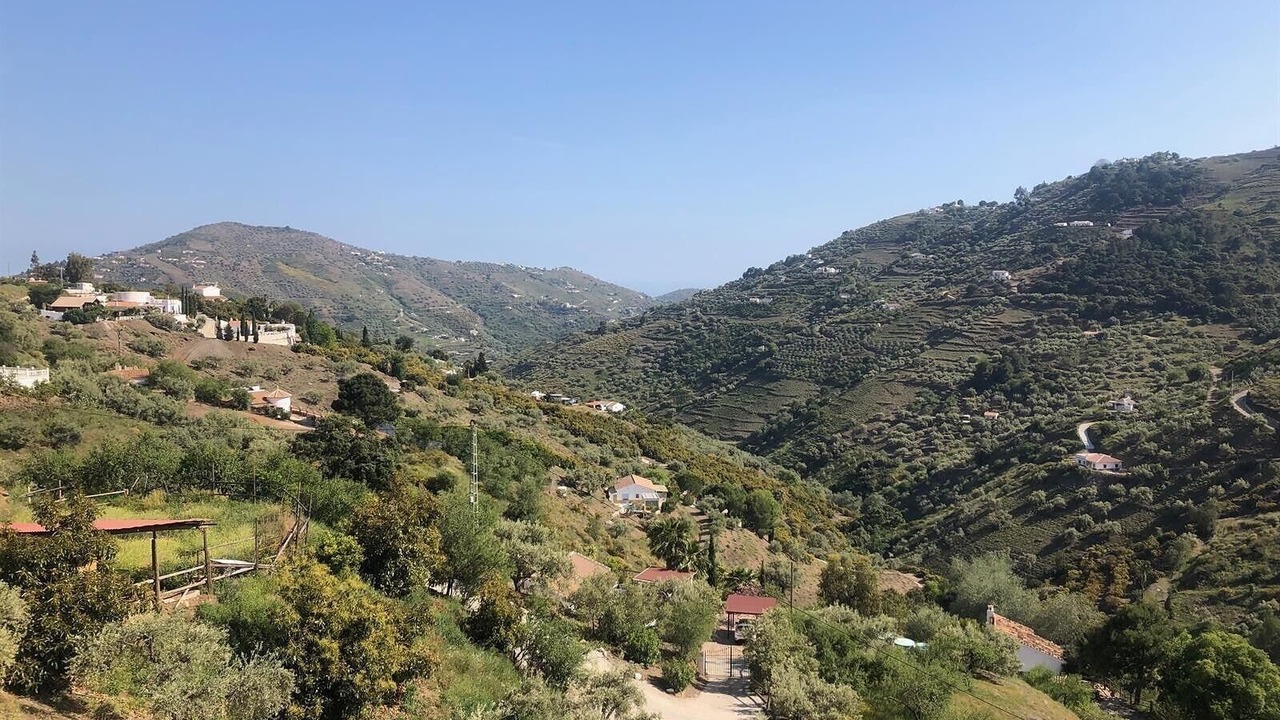 Photo of Others in Competa