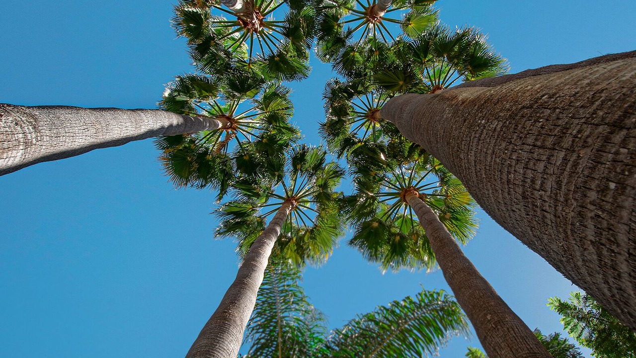 Photo of Outdoor in Oasis del Capistrano