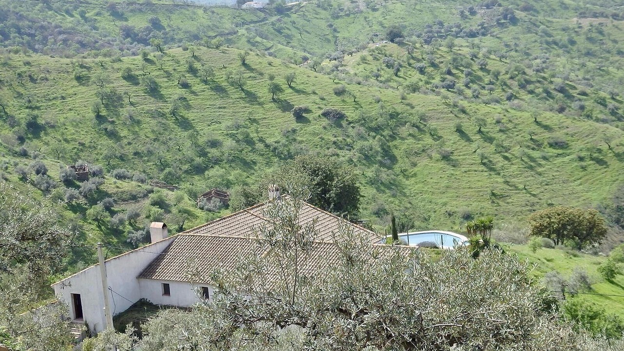 Photo of Outdoor in Alora