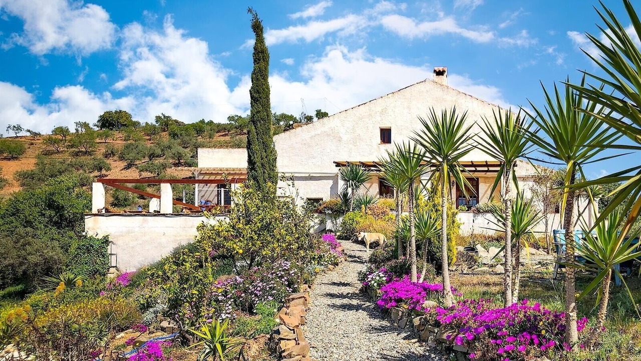Photo of Outdoor in Alora