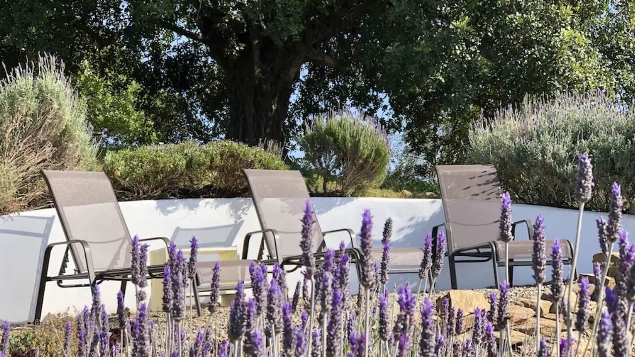 Photo of Outdoor in Alora