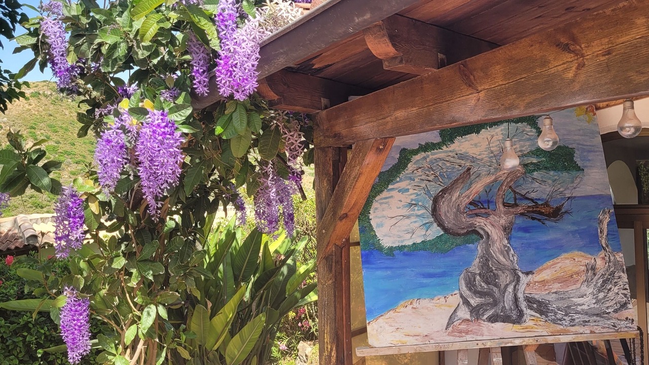 Photo of Outdoor in Puerto de la Duquesa