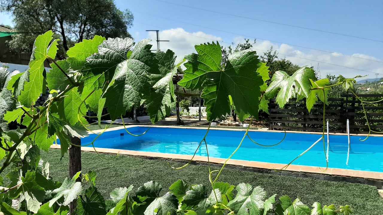 Photo of Outdoor in Ubrique
