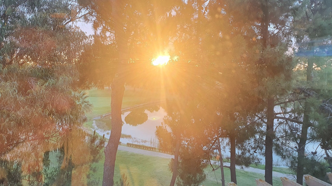 Photo of Others in Islantilla