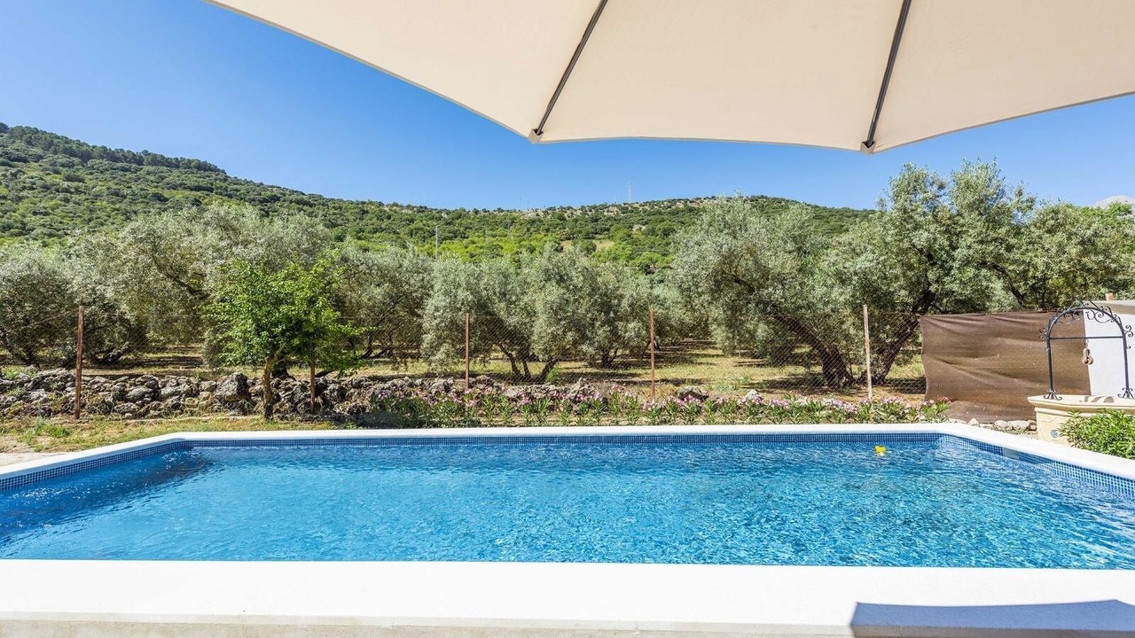 Photo of Outdoor in Alfarnate