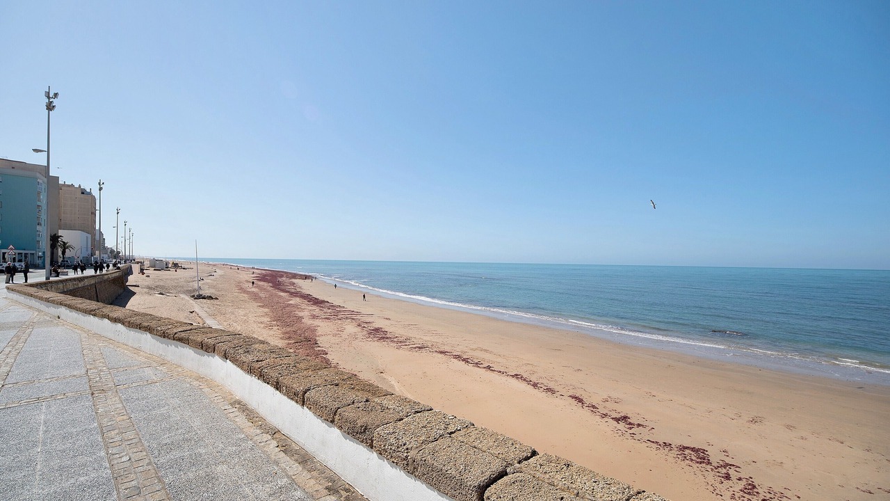 Photo of Others in Cadiz