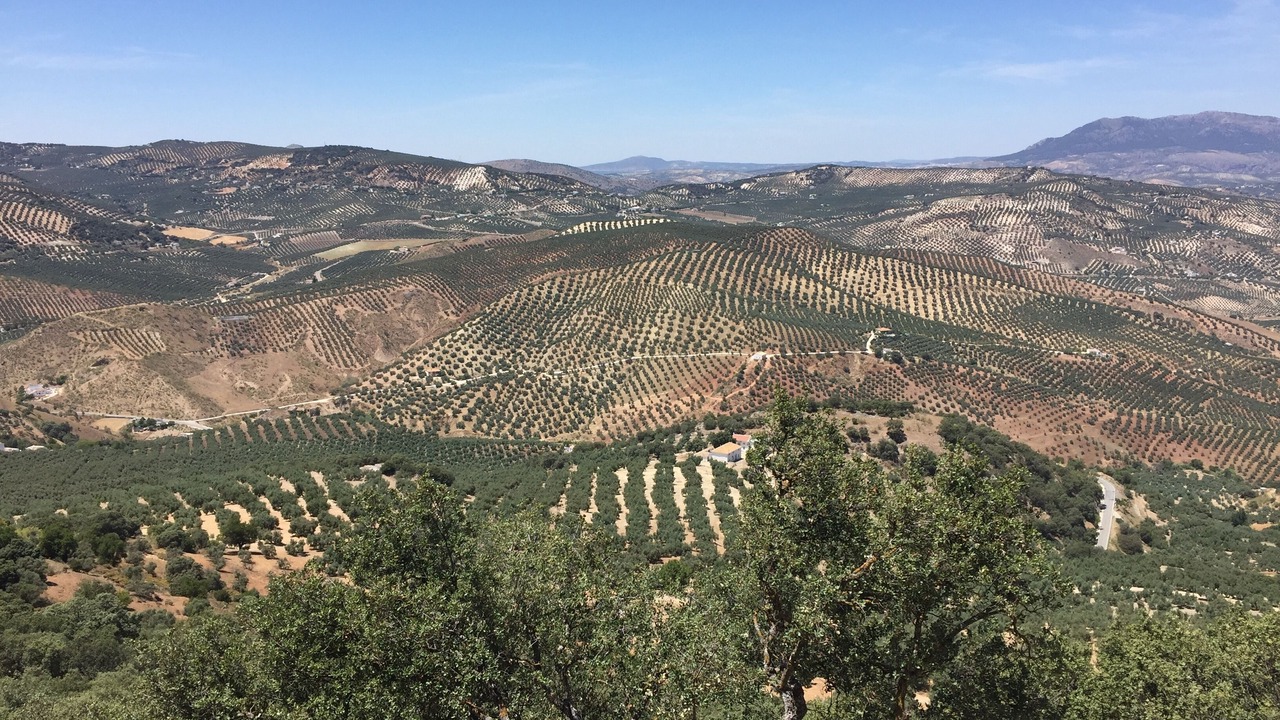 Photo of Outdoor in Iznajar