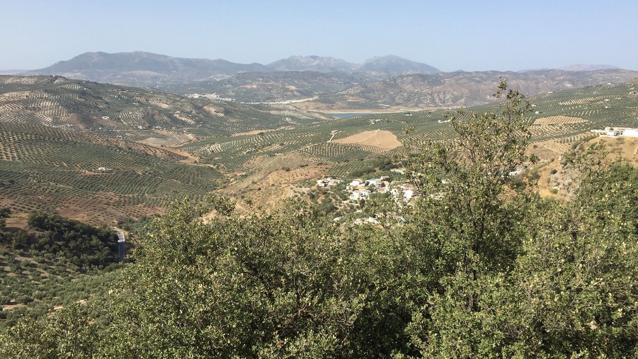 Photo of Others in Iznajar