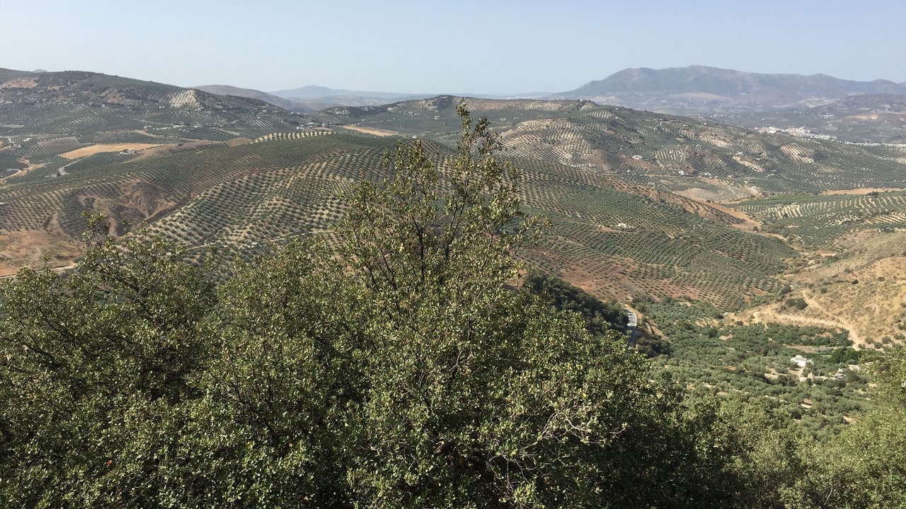 Photo of Others in Iznajar