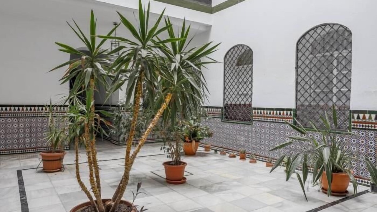 Photo of Others in Museo