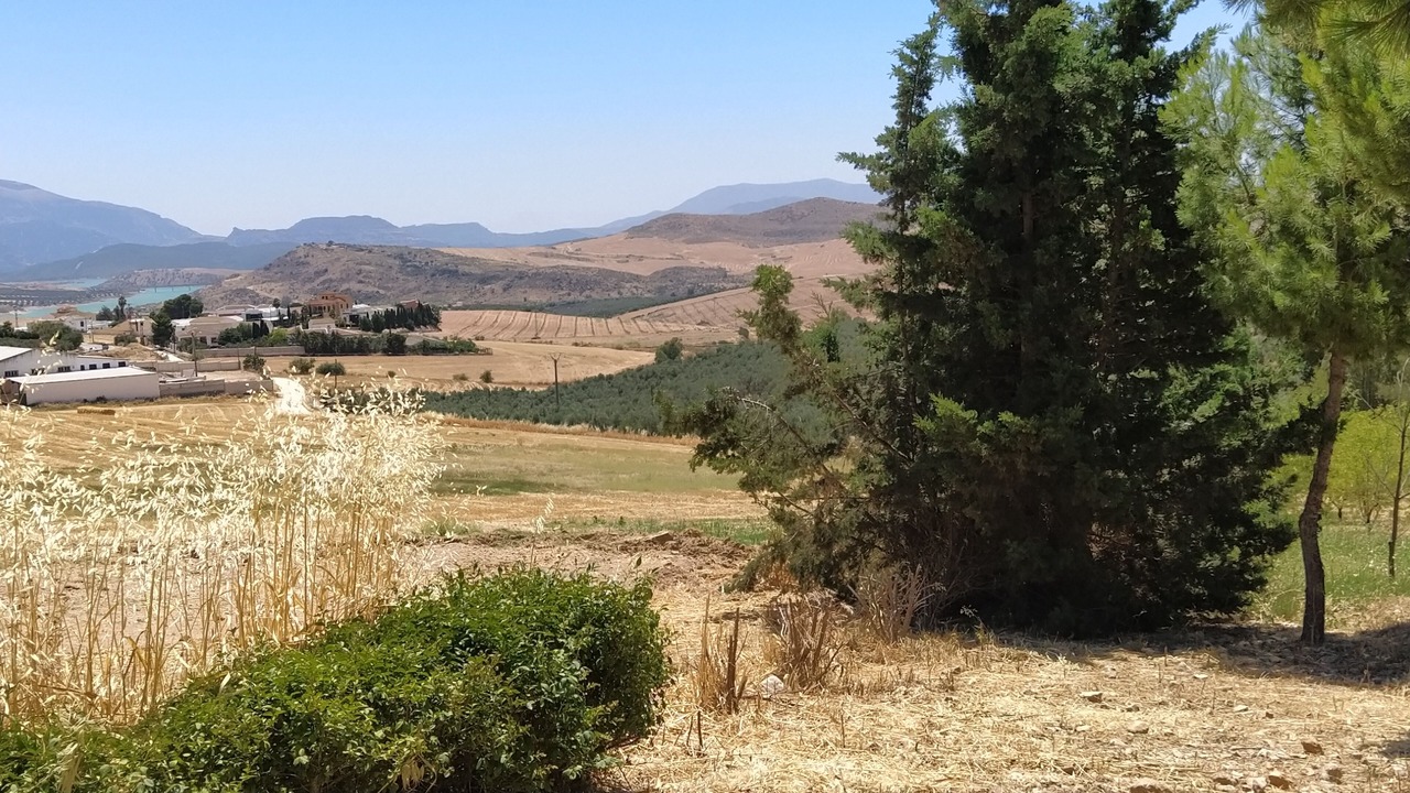 Photo of Outdoor in Teba
