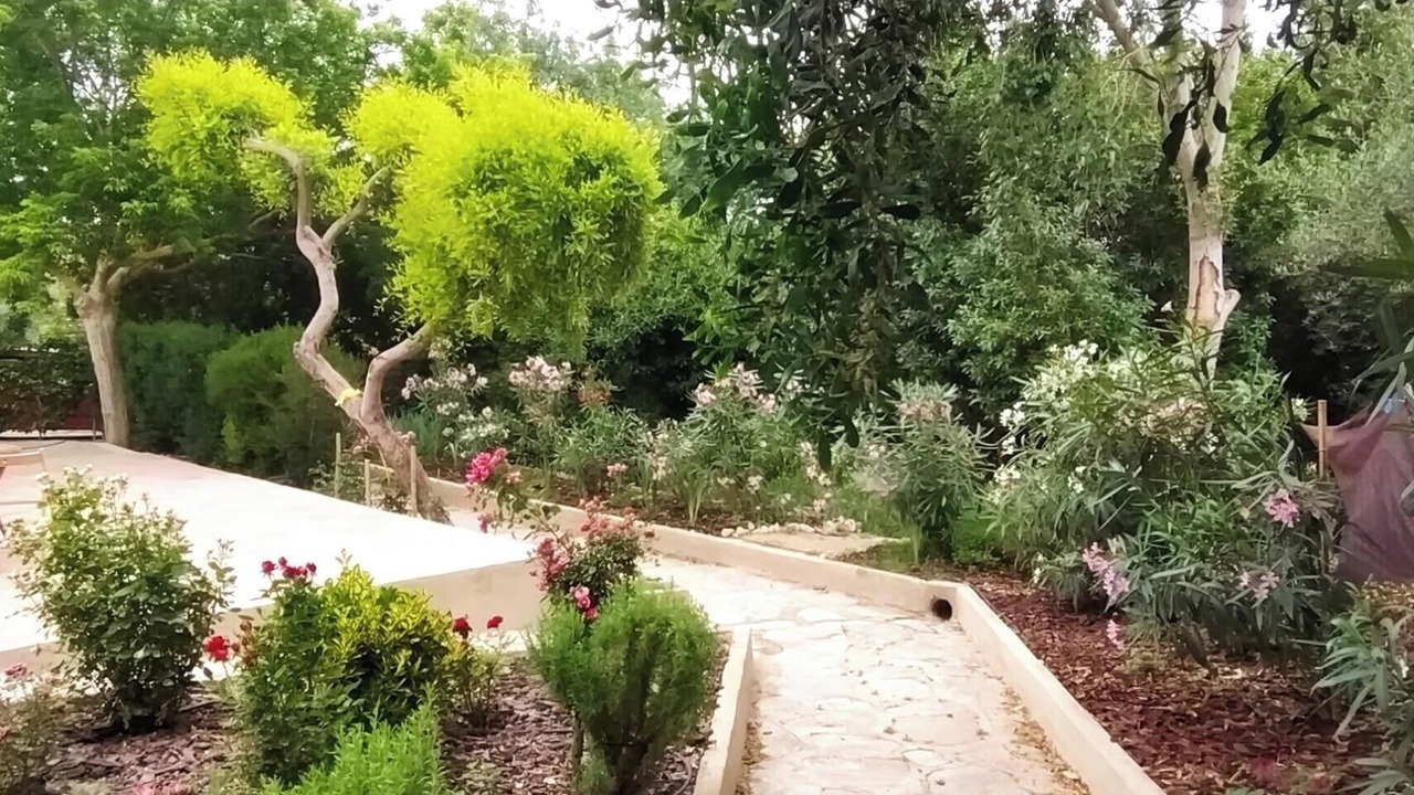 Photo of Outdoor in Teba