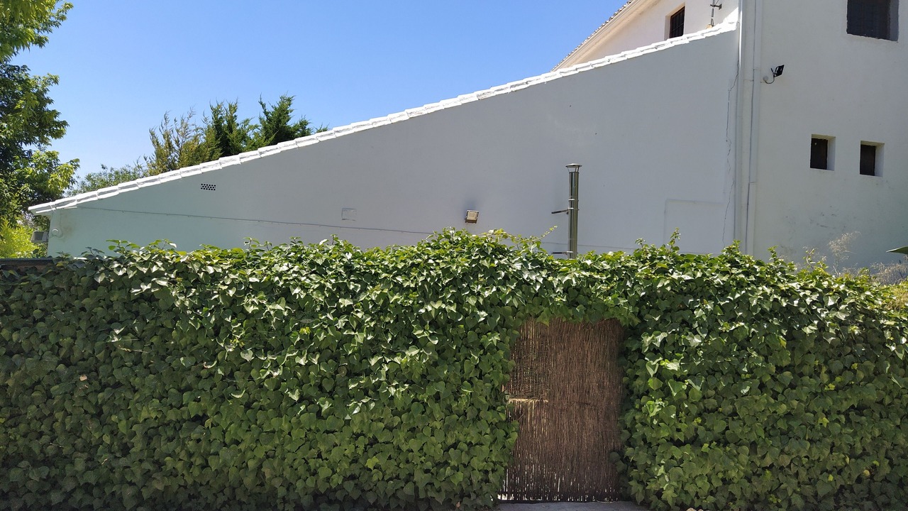 Photo of Outdoor in Teba