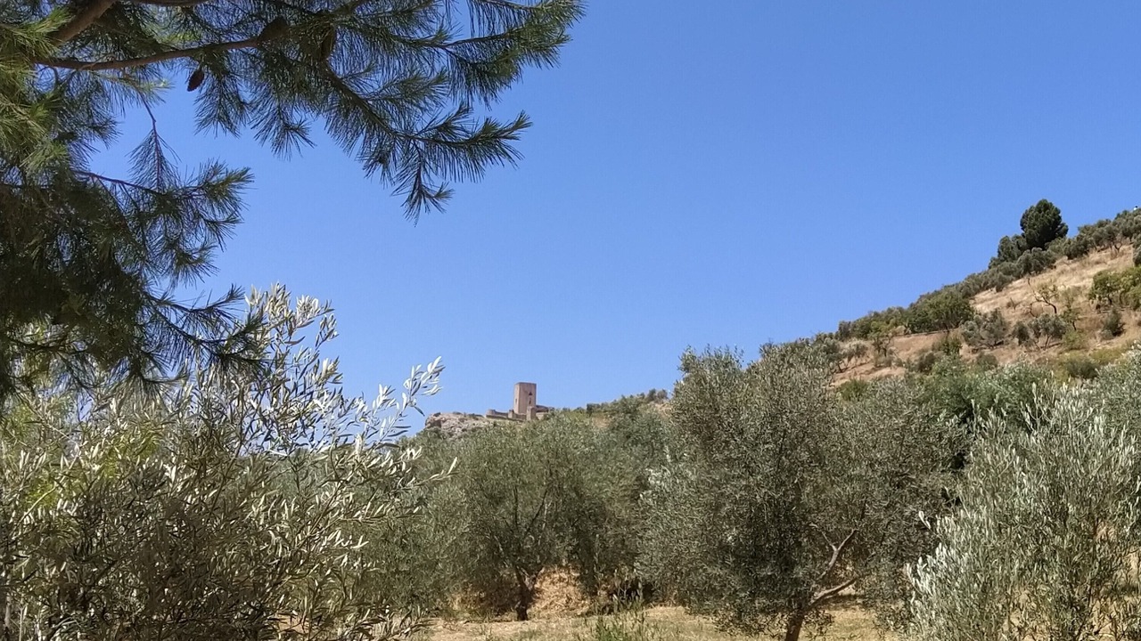 Photo of Others in Teba