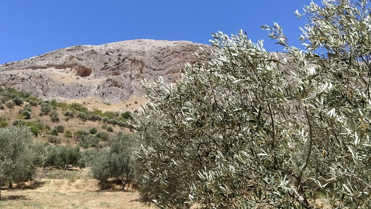 Photo of Outdoor in Teba
