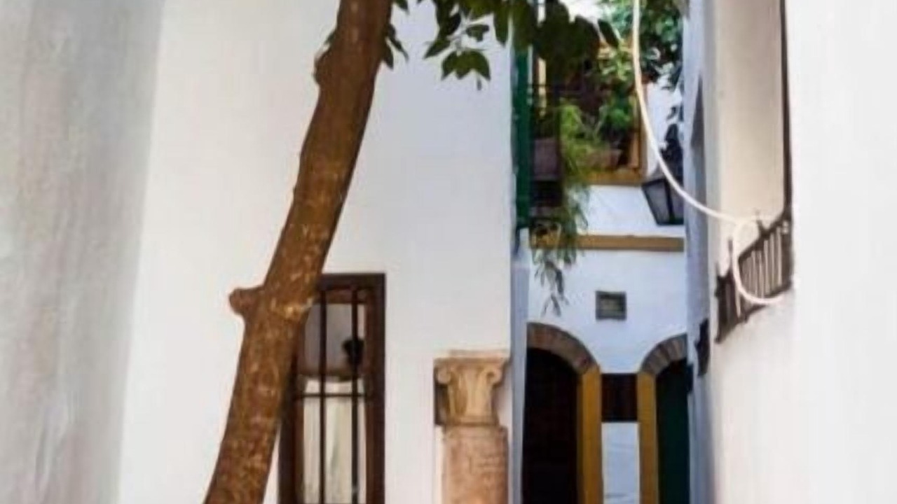 Photo of Outdoor in La Trinidad-San Juan y Todos los Santos