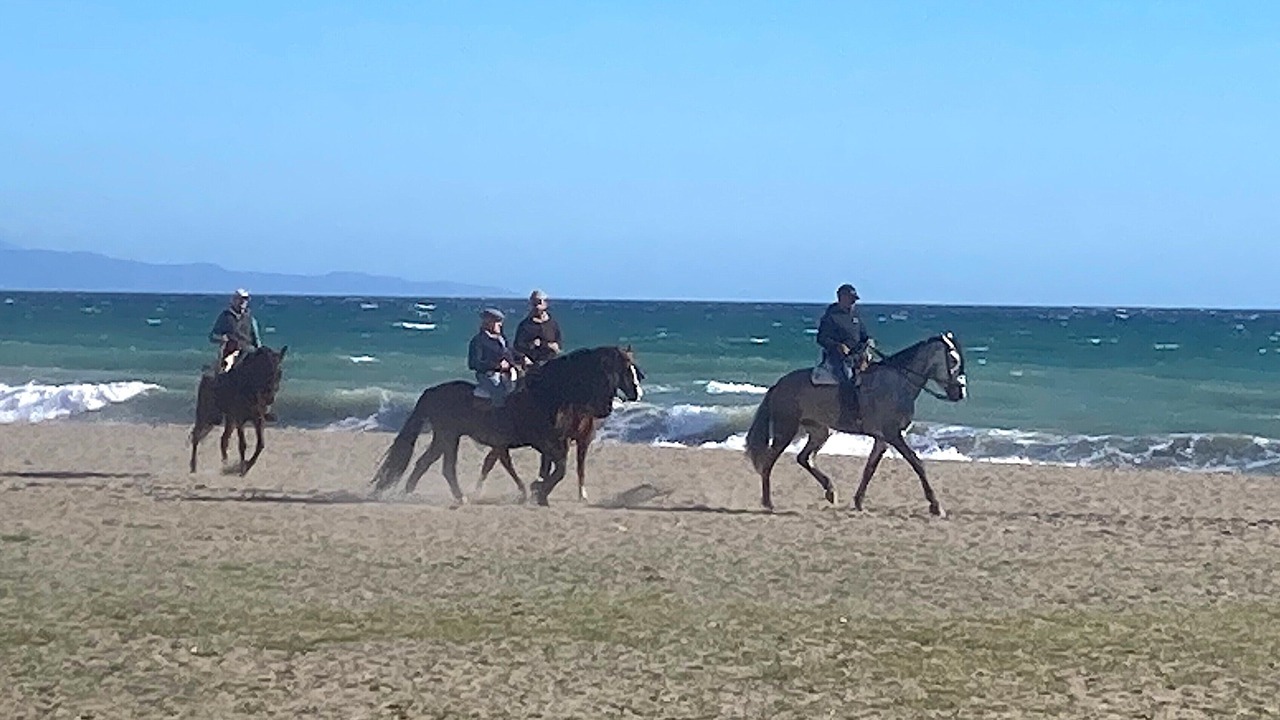 Photo of Others in Castillo de Sabinillas