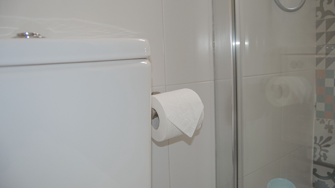 Photo of Bathroom in Poligono Alameda