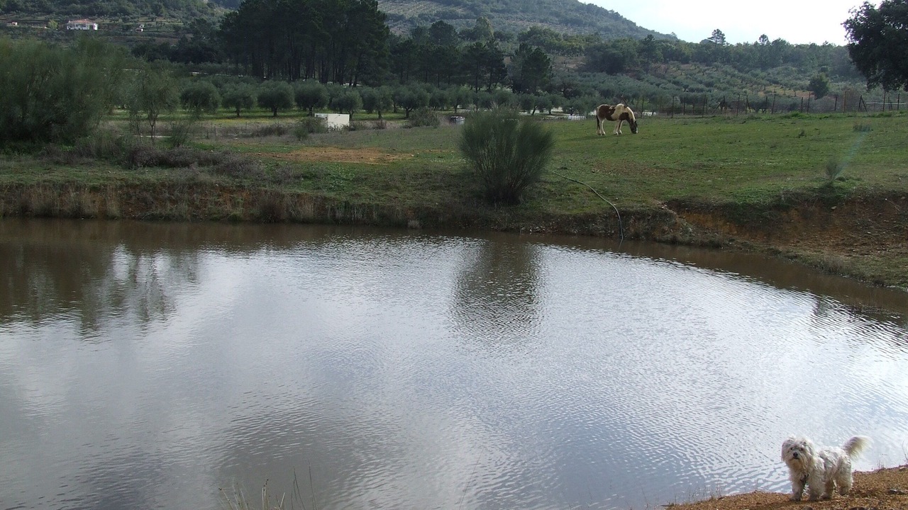Photo of Outdoor in Alcuescar