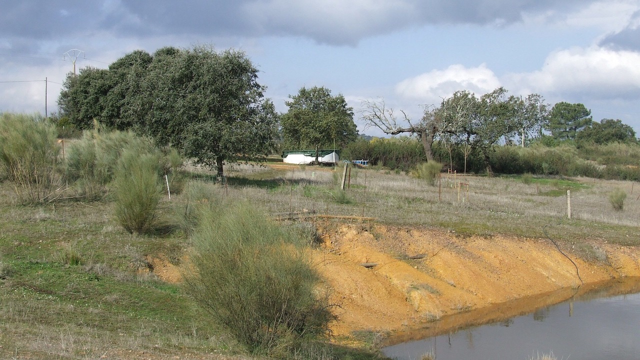 Photo of Outdoor in Alcuescar