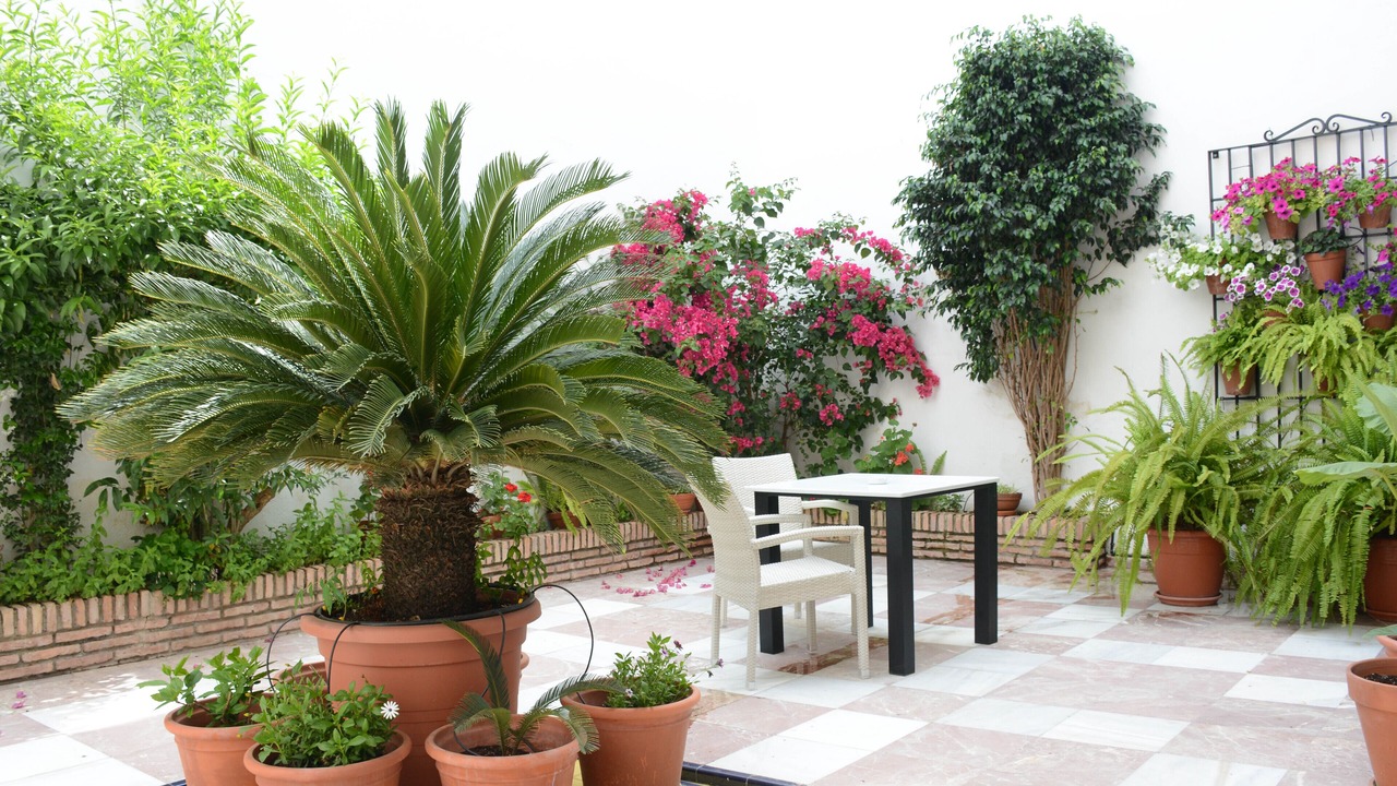 Photo of Outdoor in San Lorenzo