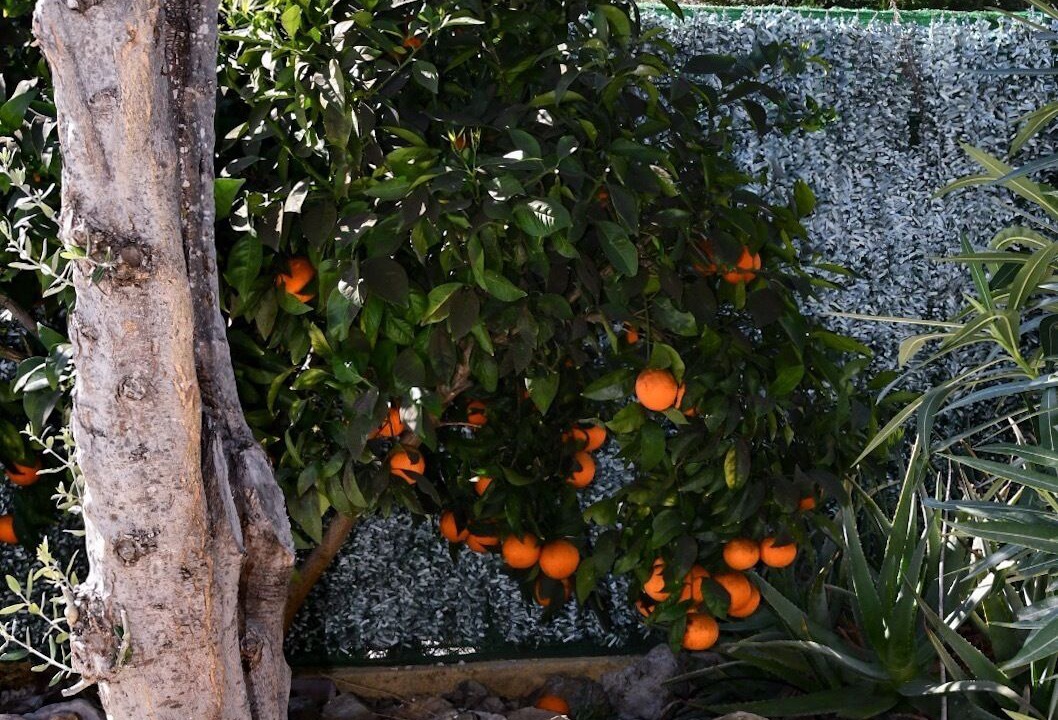 Photo of Outdoor in Mazarron
