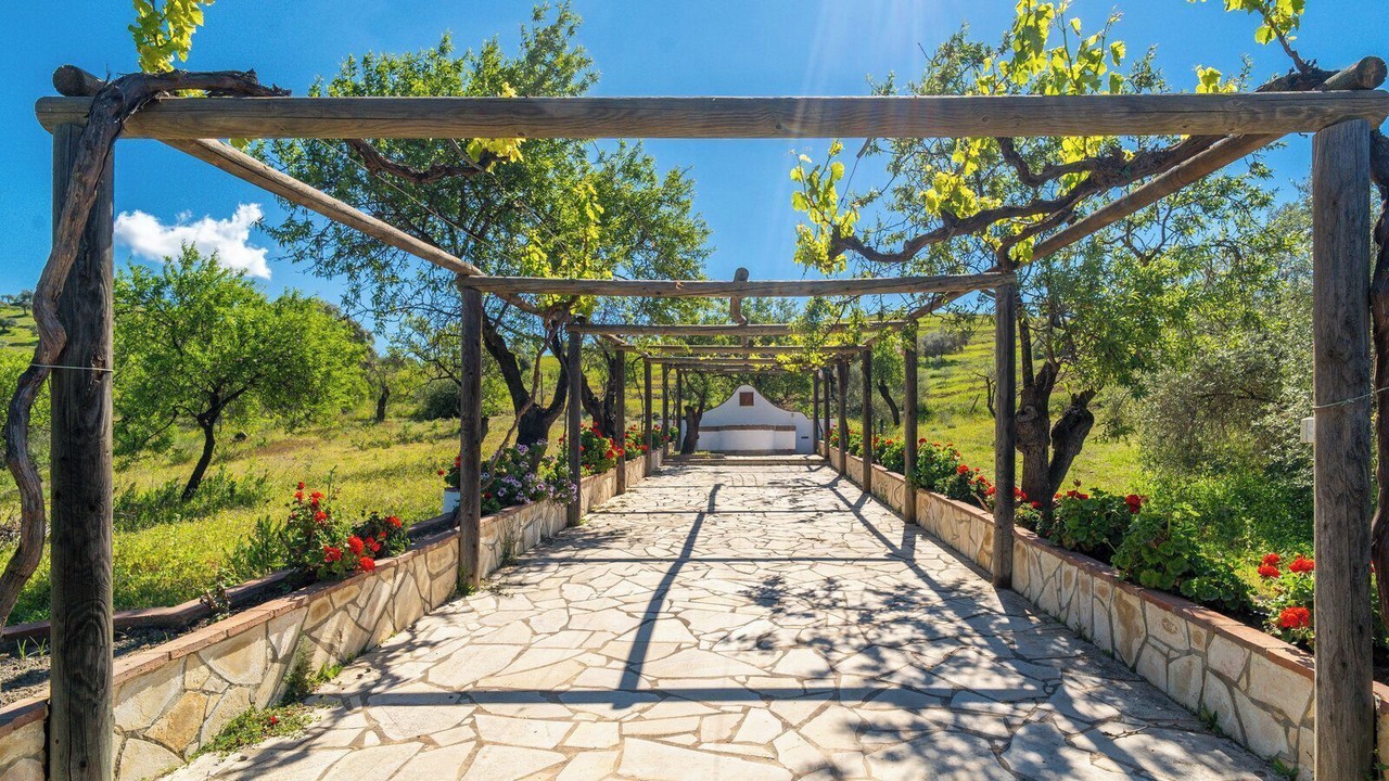 Photo of Outdoor in Almogia