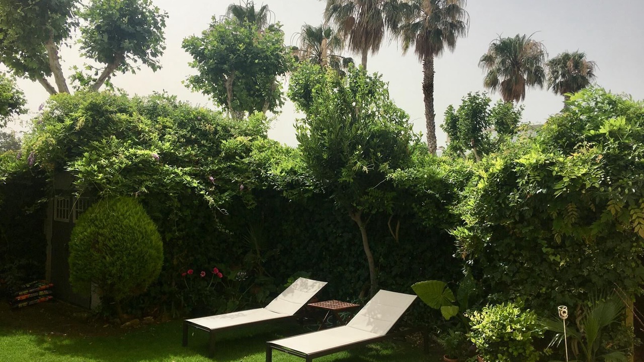 Photo of Outdoor in Chipiona