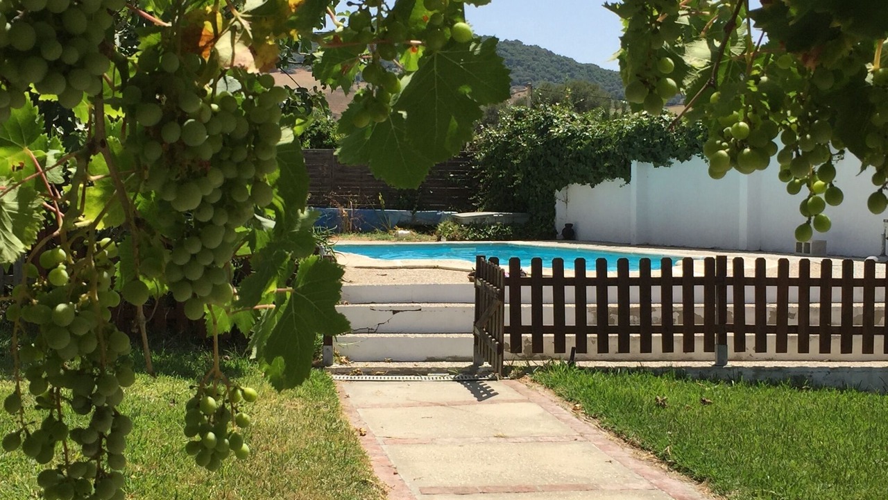 Photo of Outdoor in San Ambrosio