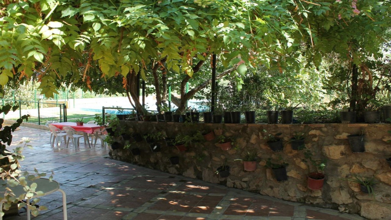 Photo of Outdoor in Moron de la Frontera