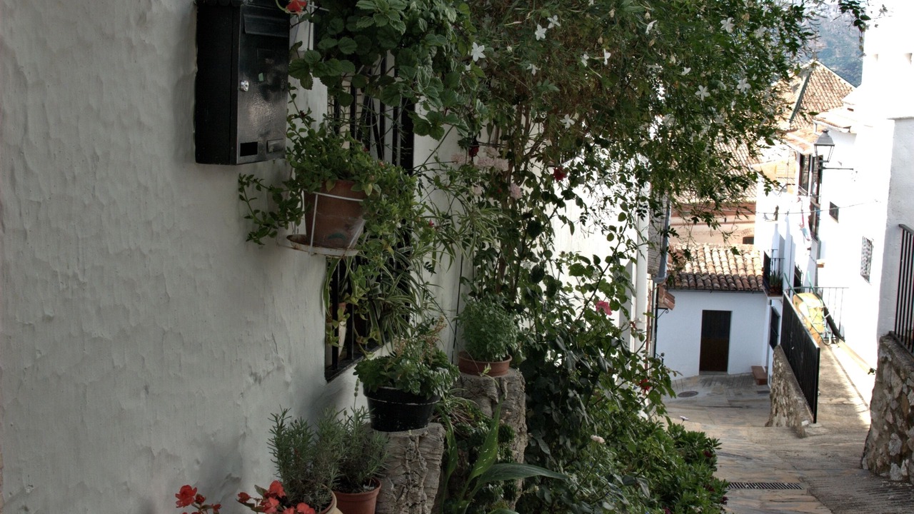 Photo of Outdoor in Alpandeire