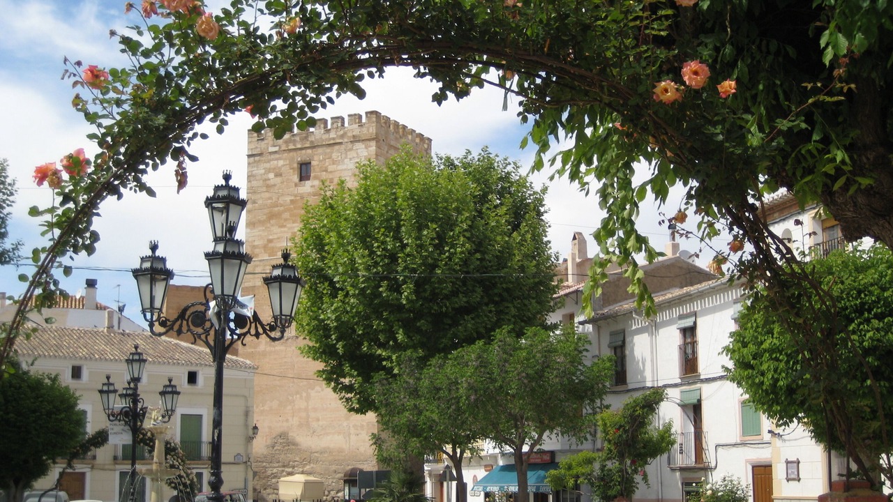 Photo of Outdoor in La Alqueria