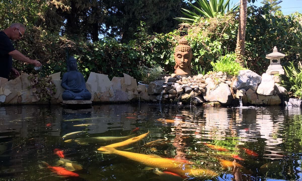 Photo of Outdoor in Costa del Sol