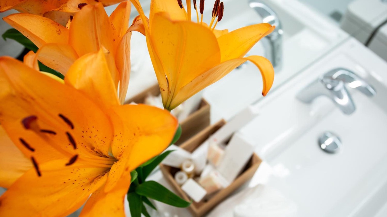 Photo of Bathroom in Old Town