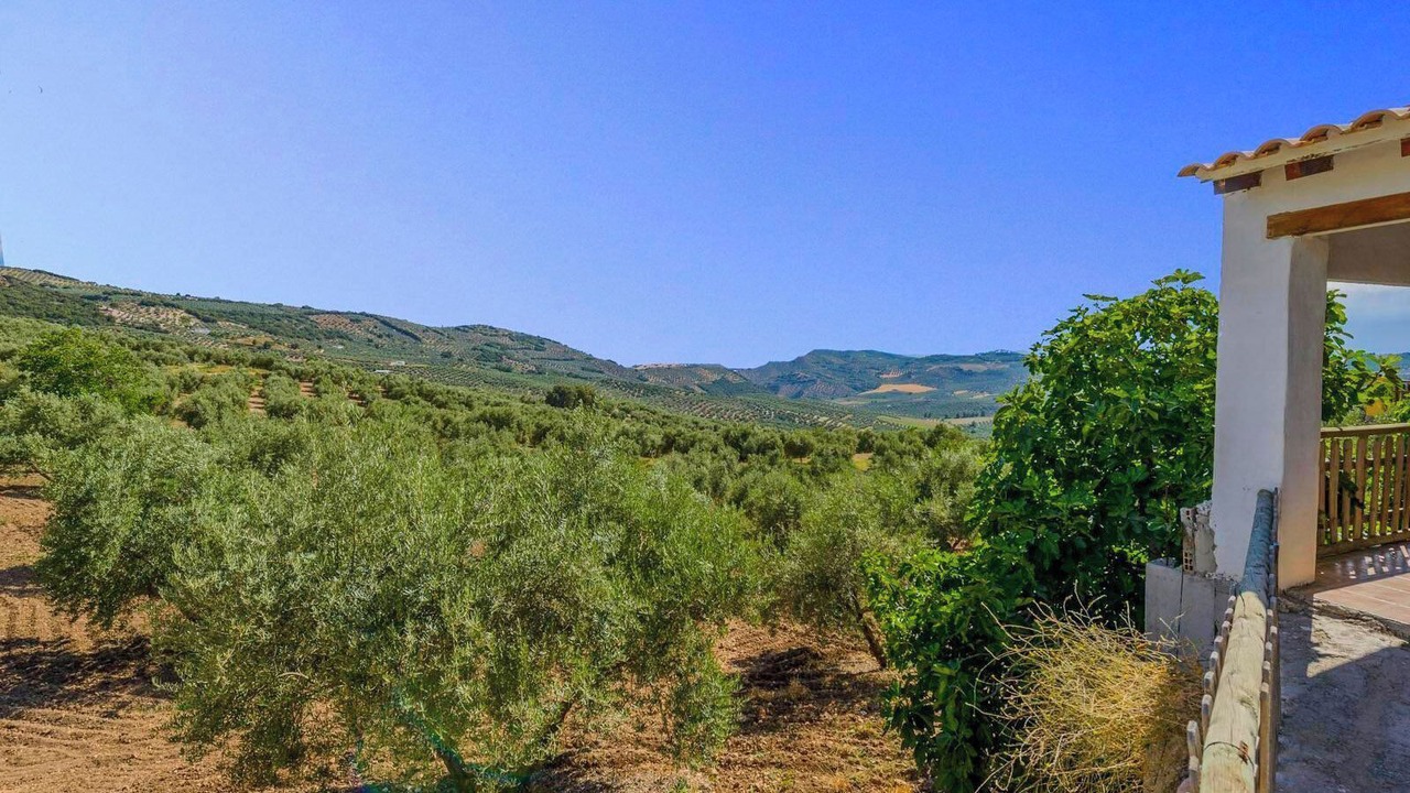 Photo of Outdoor in Montefrio