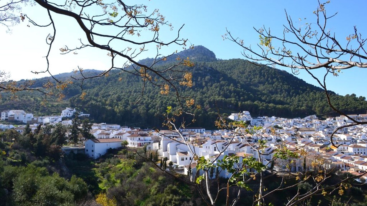 Photo of Outdoor in Montecorto