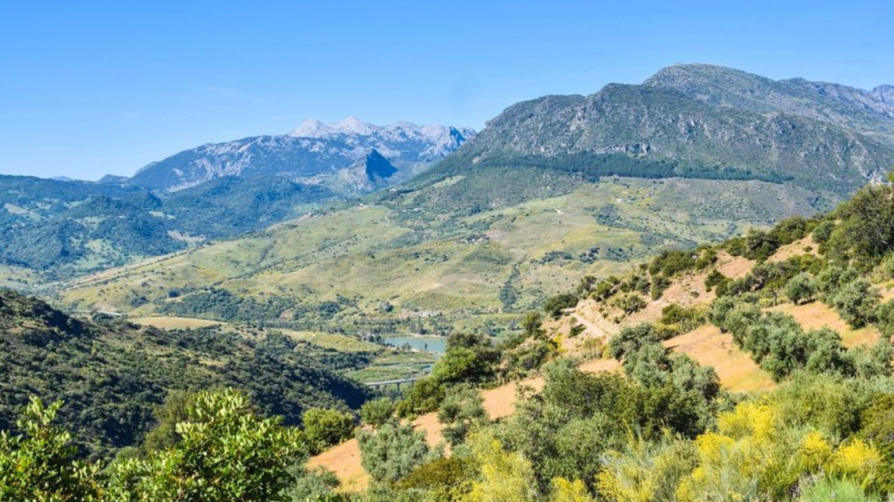 Photo of Others in Montecorto