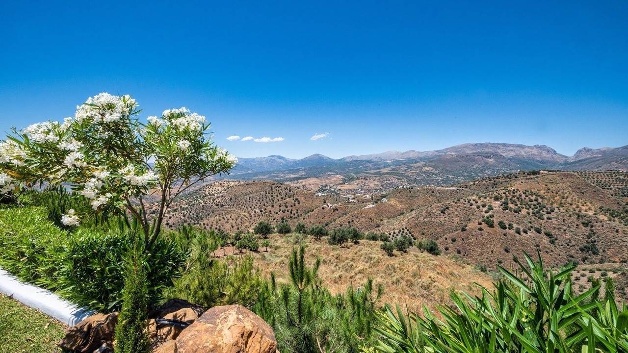 Photo of Others in Canillas de Aceituno