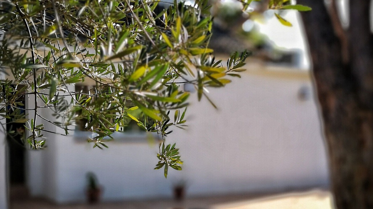 Photo of Outdoor in Cabo Roche