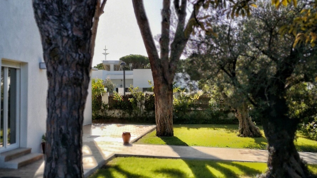 Photo of Outdoor in Cabo Roche