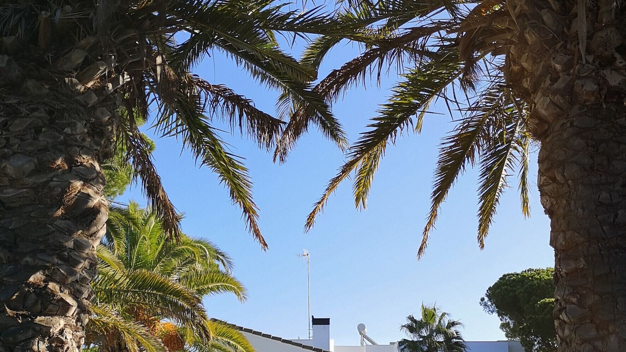 Photo of Outdoor in Cabo Roche