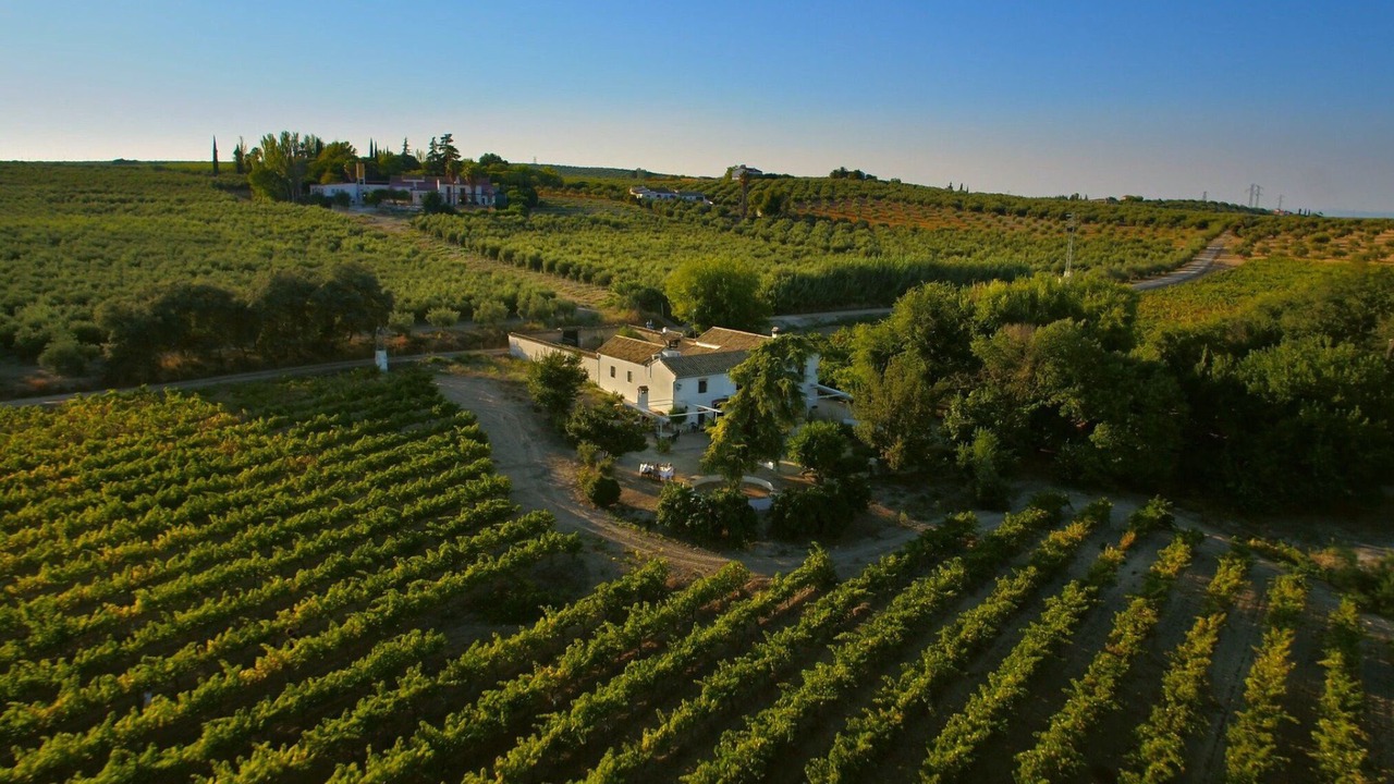 Photo of Outdoor in Montilla