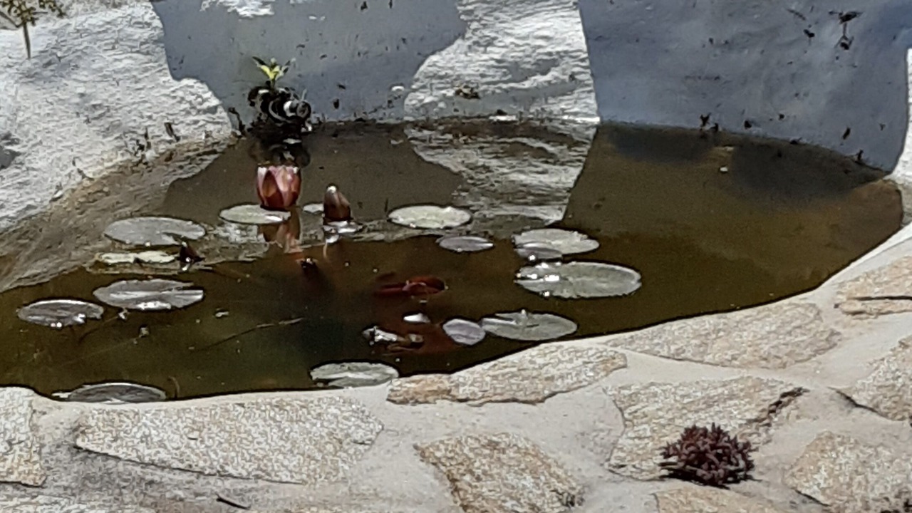 Photo of Outdoor in Canillas de Albaida