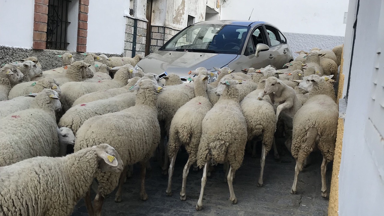 Photo of Outdoor in Medina-Sidonia