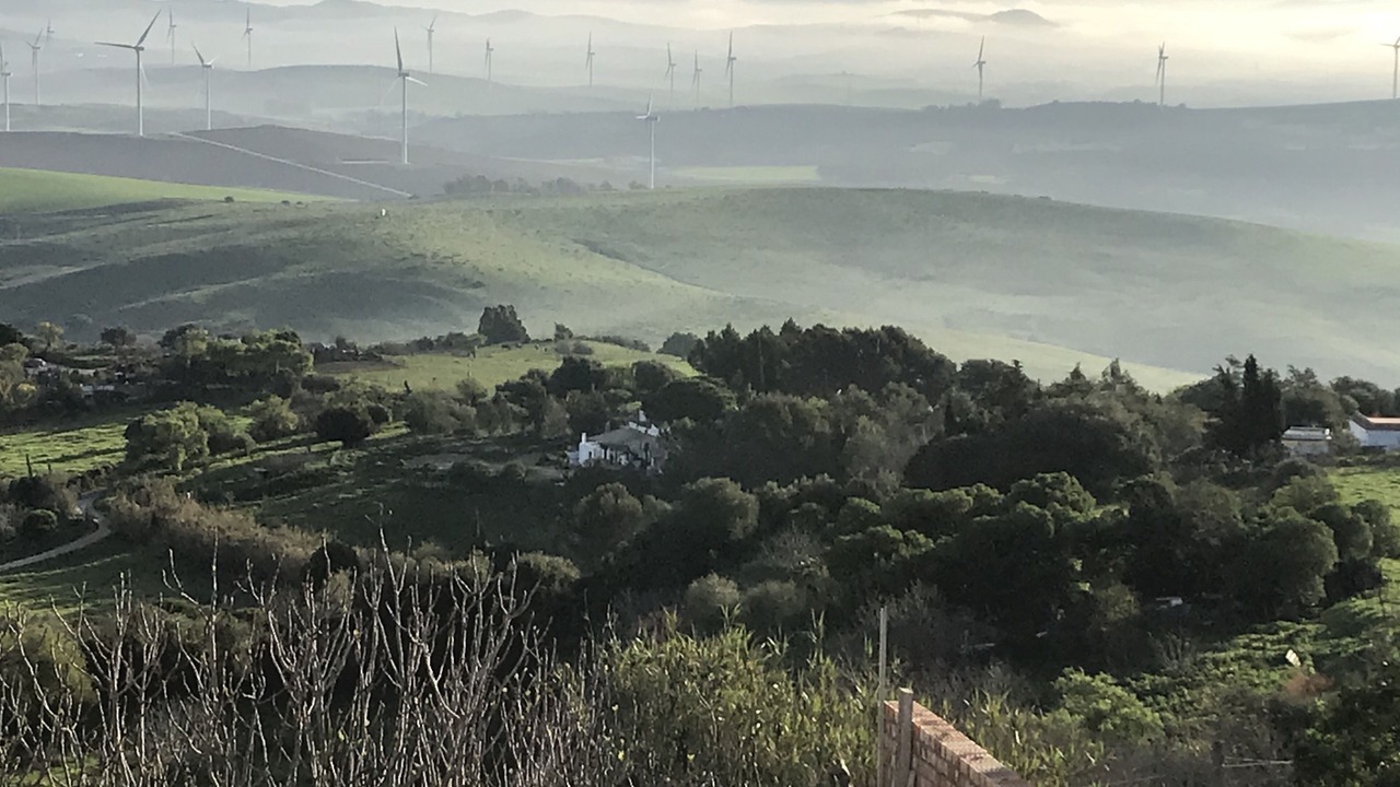 Photo of Others in Medina-Sidonia