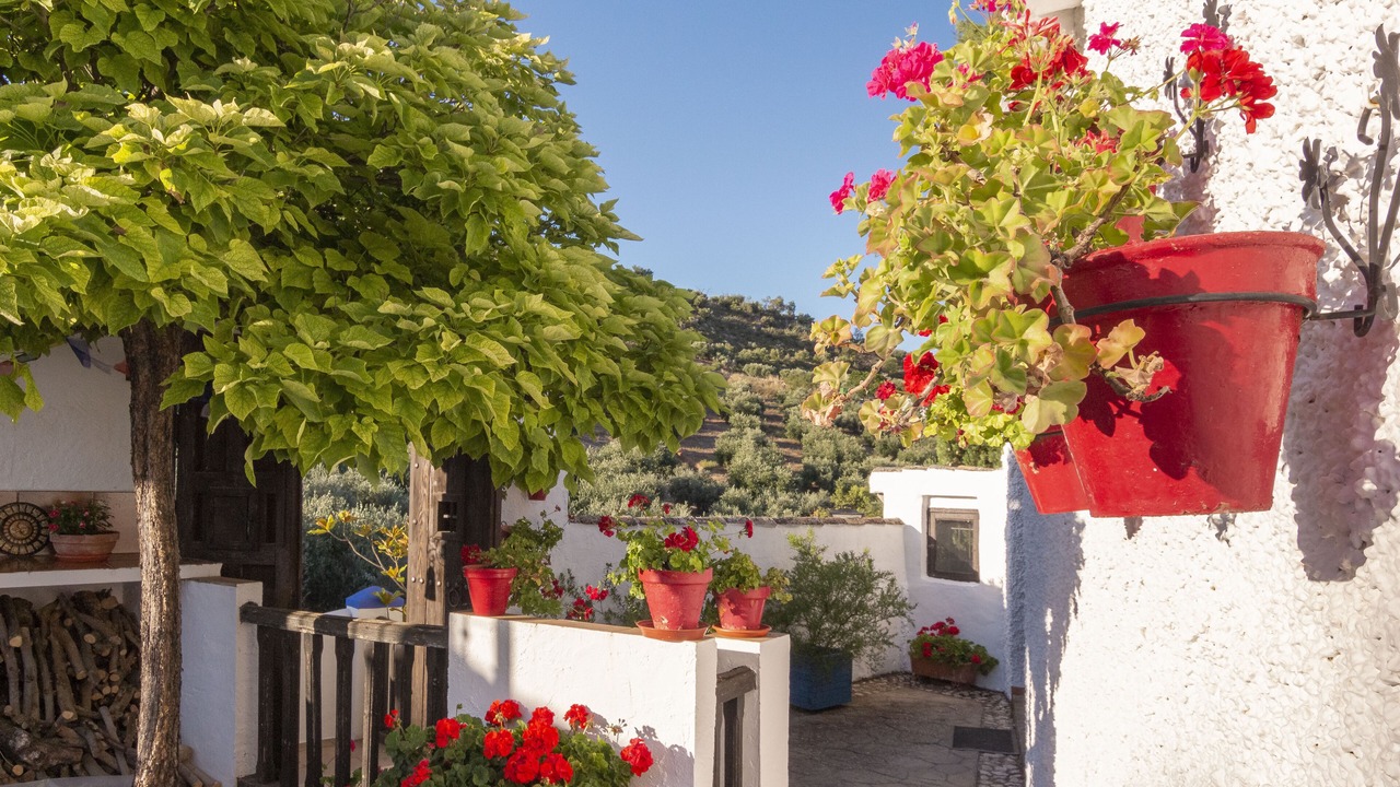 Photo of Outdoor in Zagrilla