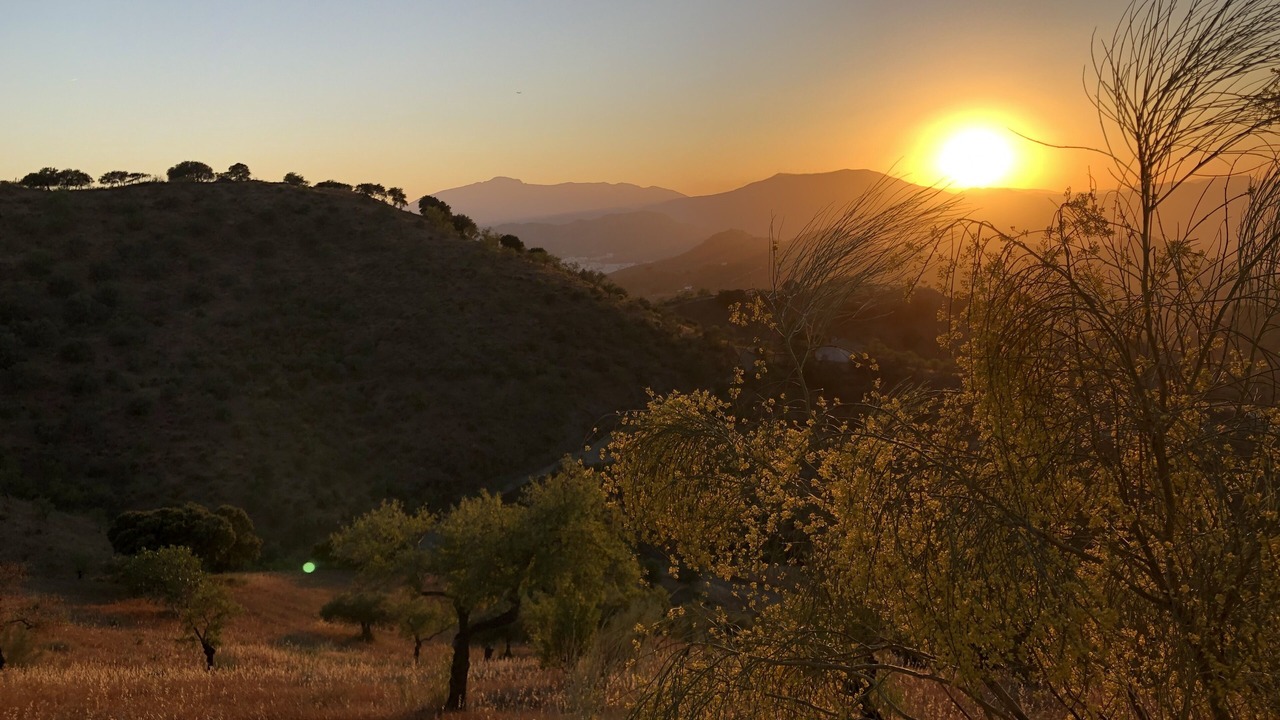 Photo of Outdoor in Alora